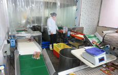 舜泰專業(yè)團(tuán)隊